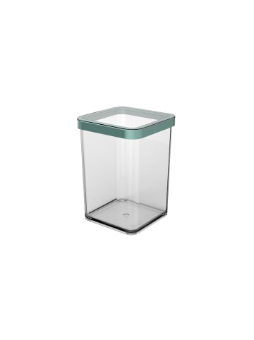Rotho Vorratsdose quadr. 1 l LOFT in Transparent / Mistletoe grün
