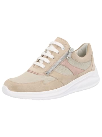 Solidus Sneaker Low in beige