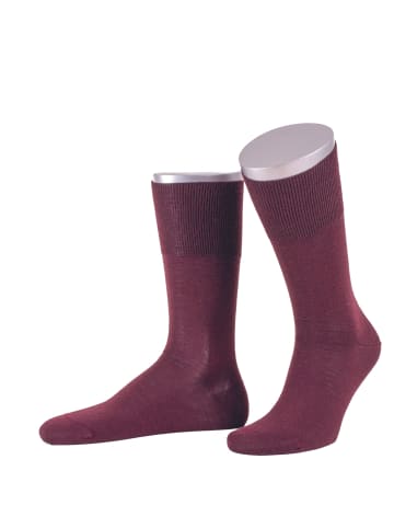 JD J. Dirks Businesssocken C480 in bordeaux (20)