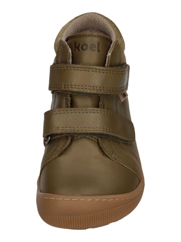 KOEL Winterstiefel DARVO TEXTIL  in grün