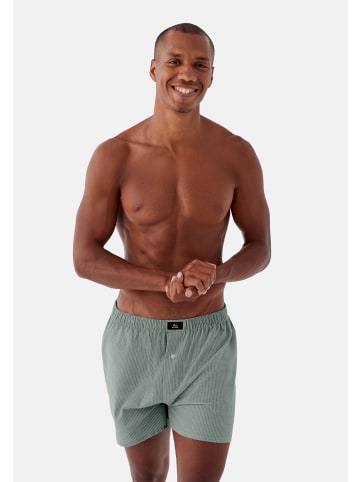 DANISH ENDURANCE Boxershorts Organic Woven in green/stripes mix