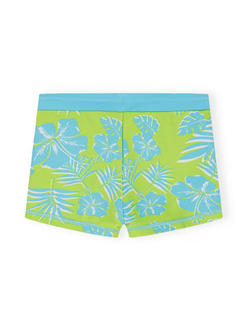 Minoti 2tlg. Set: Badeanzug 23swim6 in weiß