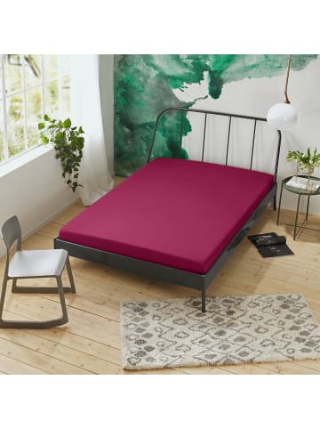 Erwin Müller Interlock-Jersey Spannbettlaken 2er-Pack Nürnberg in weinrot