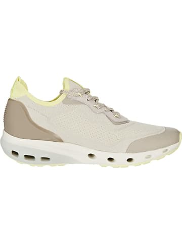 Tamaris Freizeit Schnürer für Damen in beige