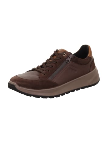 Legero Sneakers Low ANZIO in Corvino Braun