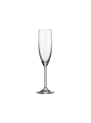 LEONARDO 6er Set Sektgläser Daily 120 ml transparent in transparent