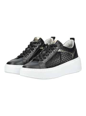 Nero Giardini Sneaker in Schwarz