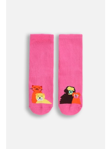 Coccodrillo Socken in bunt