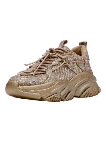 Steve Madden Sneaker in Gold/Rosa