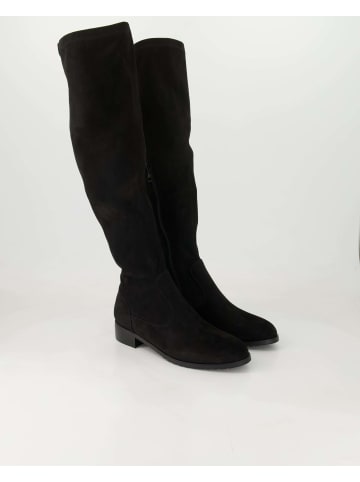 Terry Klassische Stiefel in Schwarz