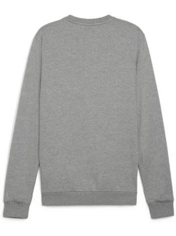 Puma Pullover "TeamGoal CasuaLongsleeve Crew Neck Sweat" in Grau