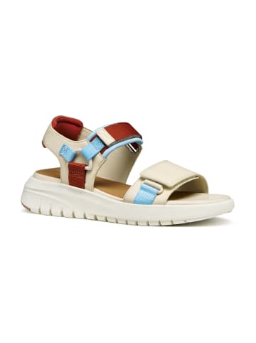 Geox Trekkingsandalen in Beige