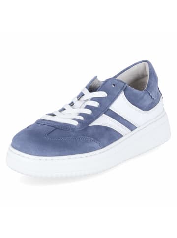 Gabor Low Sneaker in blau