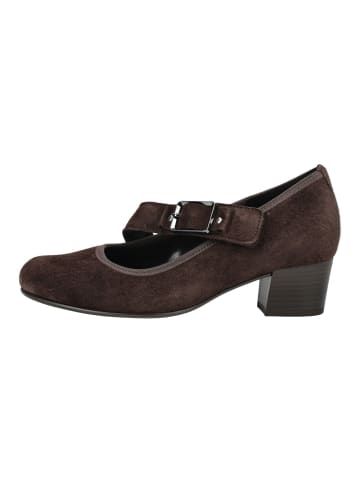 Gabor Pumps in Mocca
