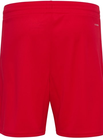 Hummel Sportshorts "Hmlessential Shorts Kids" in Rot