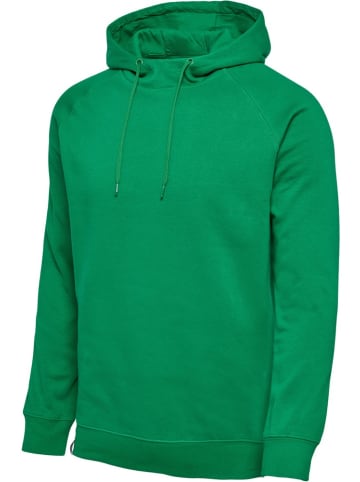 Hummel Hoodie in Multicolor