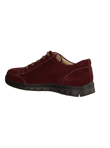 Finn Comfort Freizeit Schnürer für Damen in bordeaux