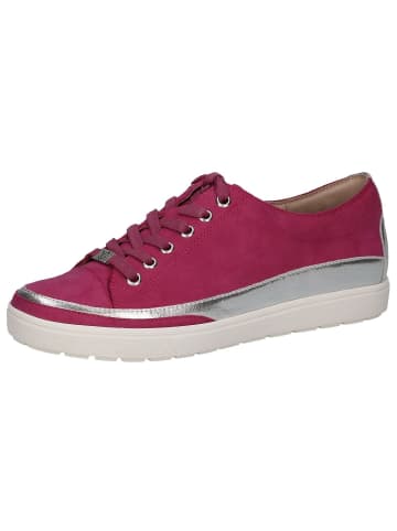 Caprice Sneaker in FUCHSIA SUEDE