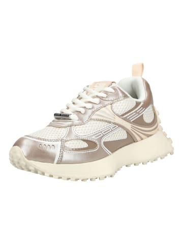 Steve Madden Sneaker in Grau/Weiß