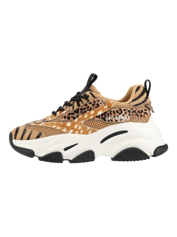 Steve Madden Sneaker POSSESSIONL-E in Beige/Schwarz