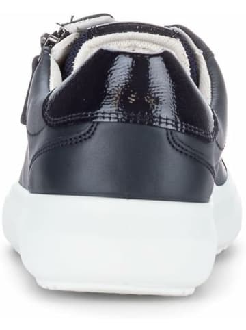 Gabor Sneaker für Damen in dunkel-blau