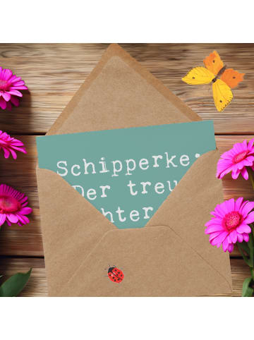 Mr. & Mrs. Panda Deluxe Karte Spruch Schipperke Wächterherz mit ... in Meeresbrise
