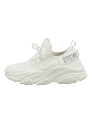 Steve Madden Sneaker in Weiß