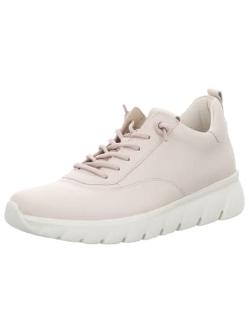 Gabor Sneaker in beige