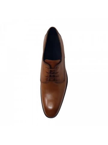 LLOYD eleganter Schnürer Odil in Braun