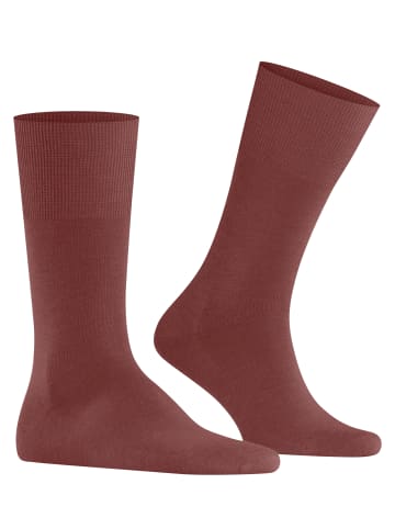 Falke Socken Airport in Rust