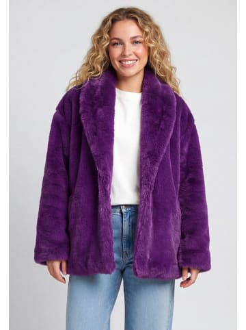 taddy Women Jacket in Purple