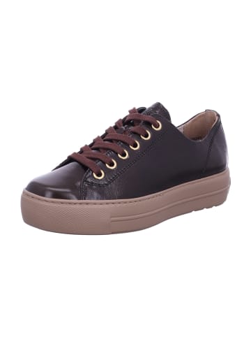 Paul Green Damen- Schnürschuhe  in Braun