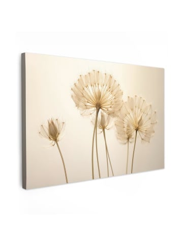 MuchoWow Leinwand bilder Flaum (BxH)