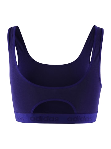 adidas Bustier CROP BRA in admiral