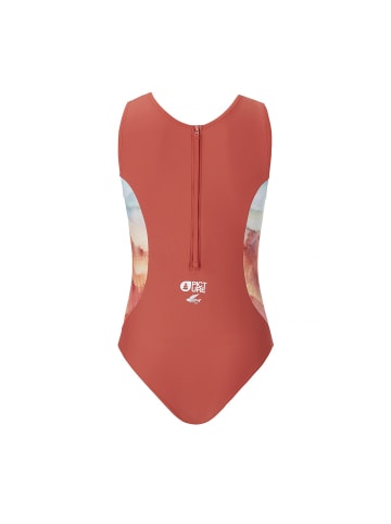 PICTURE W CURVING SWIMSUIT in Rose