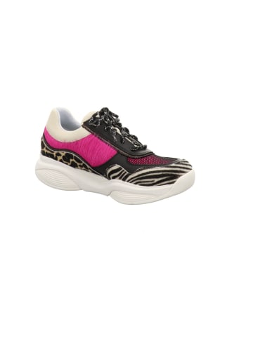 Xsensible Schnürschuhe in mehrfarbig