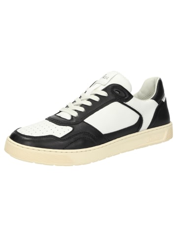 Sioux Sneaker Tedroso-704 in schwarz