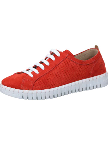manitu Schnürschuhe in rot