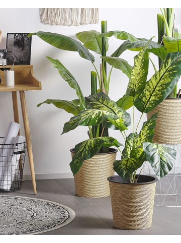 Beliani Kunstpflanze DIEFFENBACHIA in Grün/Schwarz - (W) 16 x (H) 122 x (L) 16 cm