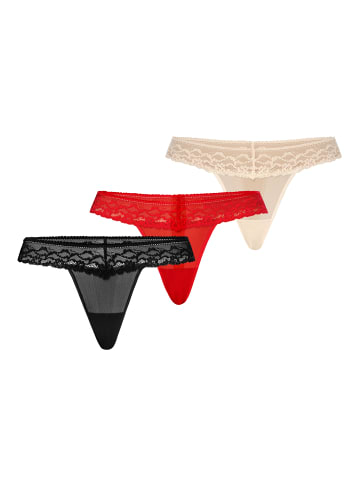 Teyli 3er Pack: Mesh Tanga mit floraler Spitze Leo in mehrfarbig