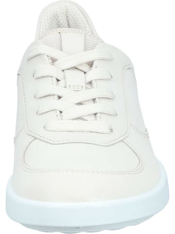 Ecco Schnürschuhe in limestone