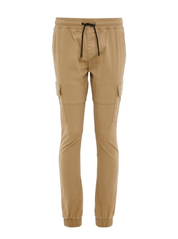 Threadbare Cargopants Bloomfield in Grau