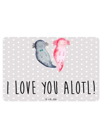 Mr. & Mrs. Panda Blechschild Axolotl Liebe mit Spruch in Grau Pastell
