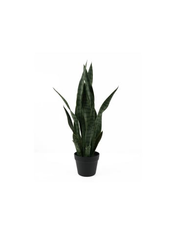 Present Time Kunstpflanze Sansevieria - Grün - 30x30x66cm