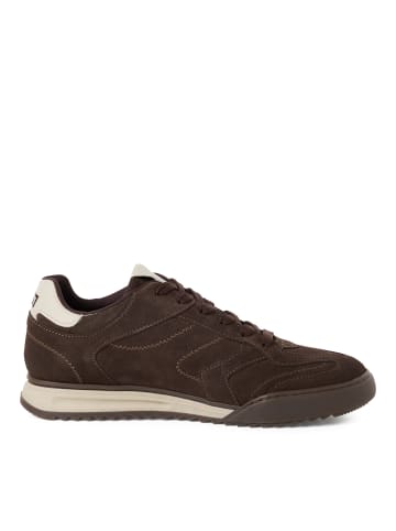 Tamaris Sneaker Sneaker in braun