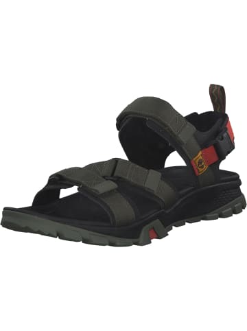 Timberland Sandalen in GRAPE LEAF