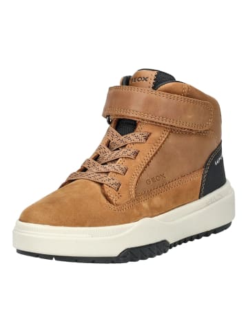 Geox Stiefelette in Tobacco