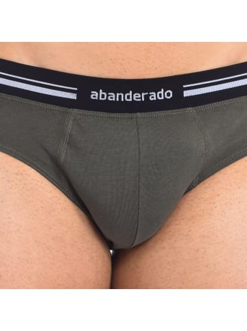 Abanderado Slip in Green