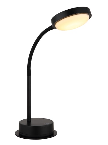 Globo lighting Tischleuchte "PEGASI" in black