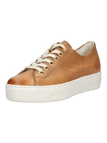Paul Green Sneaker in Cuoio